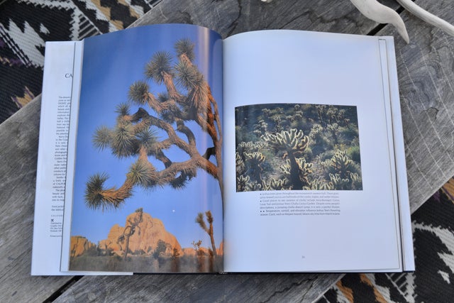 california desert coffee table book - Moss & Ginger